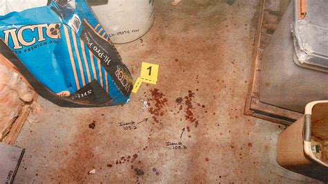 moselle crime scene photos|The crime scene evidence that convicted Alex Murdaugh